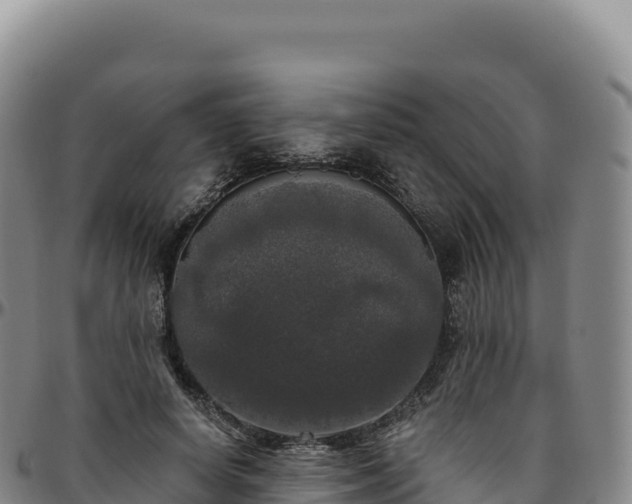 X0000096490642200801311619