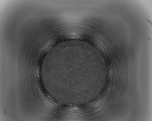 X0000096490643200801311619