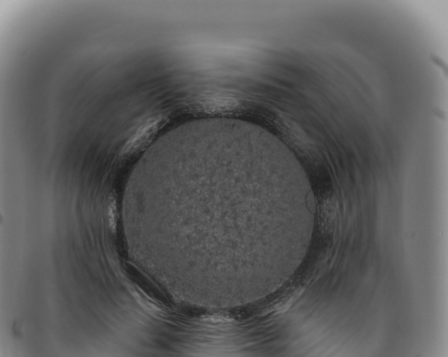 X0000096490644200801311619