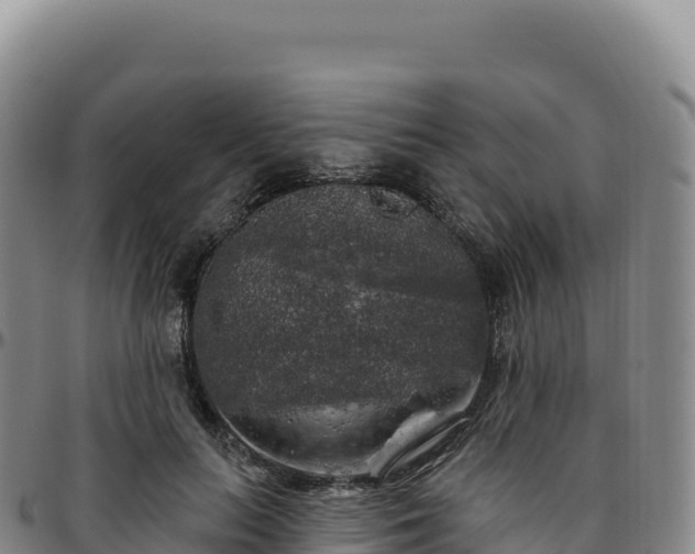 X0000096490647200801311619