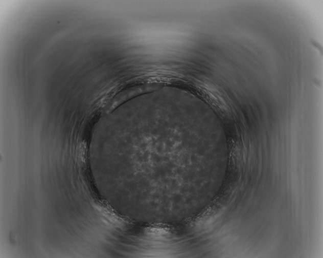 X0000096490649200801311619