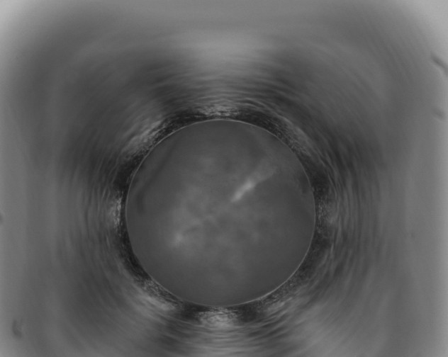 X0000096490652200801311619