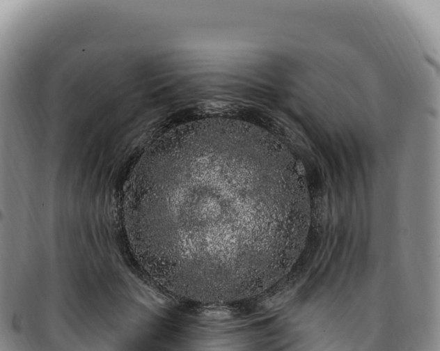 X0000096490653200801311619