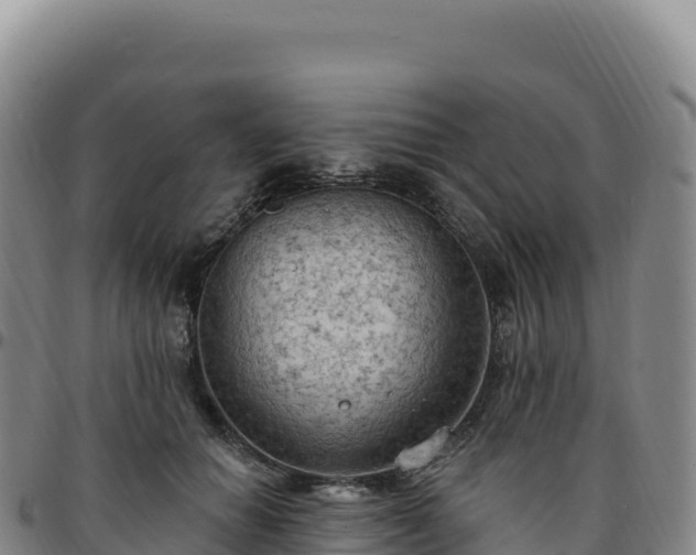 X0000096490654200801311619