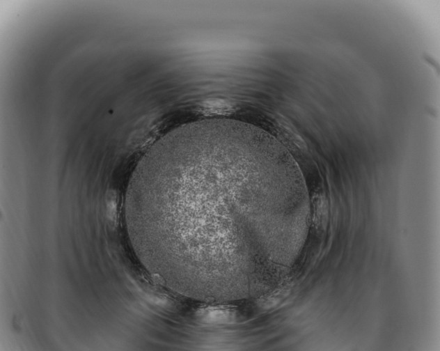 X0000096490655200801311619