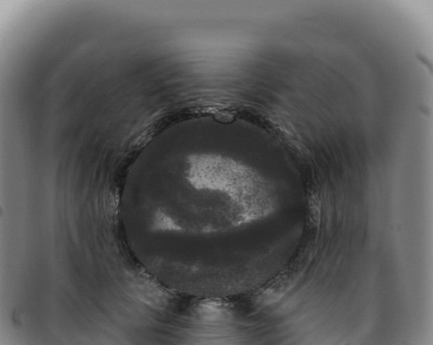 X0000096490657200801311619