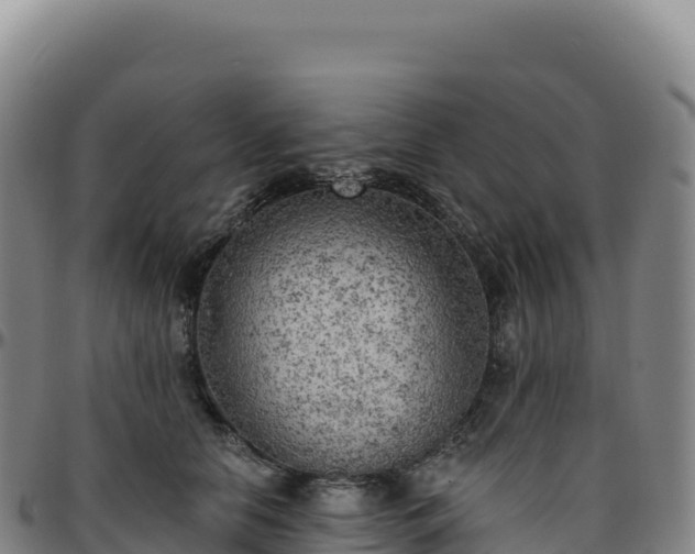 X0000096490658200801311619