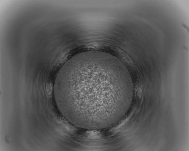 X0000096490660200801311619