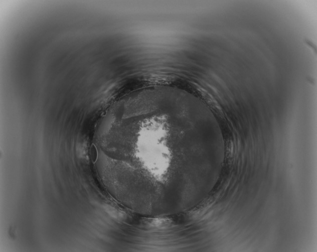 X0000096490663200801311619