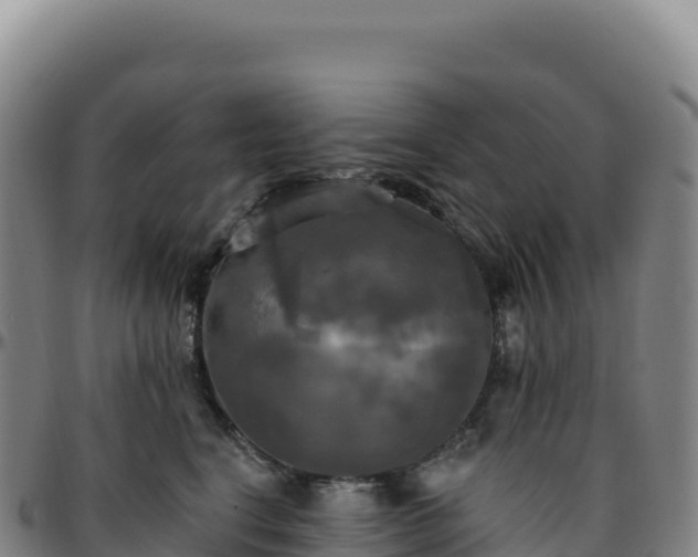 X0000096490664200801311619