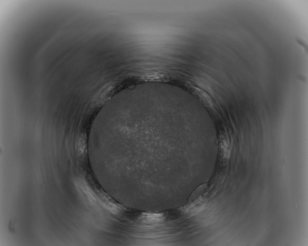 X0000096490665200801311619