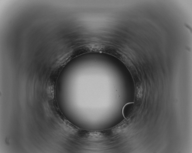 X0000096490666200801311619