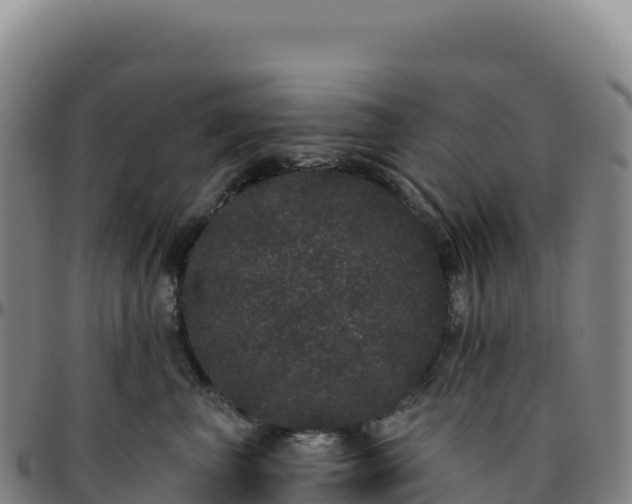 X0000096490667200801311619