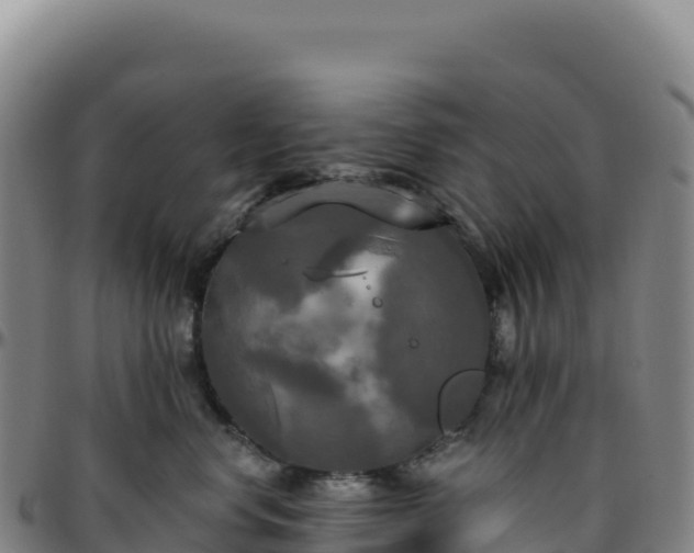 X0000096490668200801311619