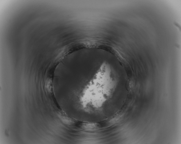 X0000096490671200801311620