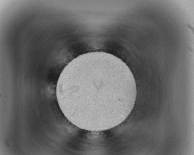 X0000096490672200801311620