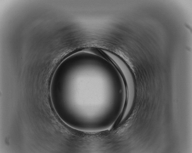 X0000096490673200801311619