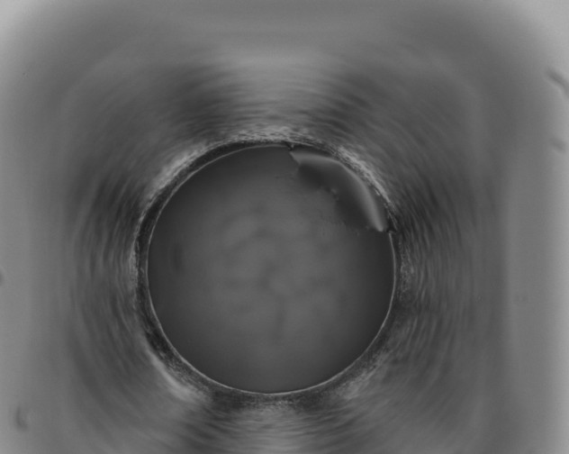 X0000096490674200801311619