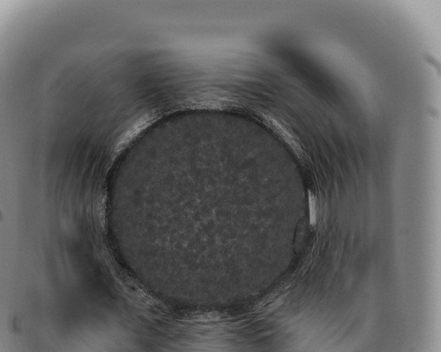 X0000096490675200801311619