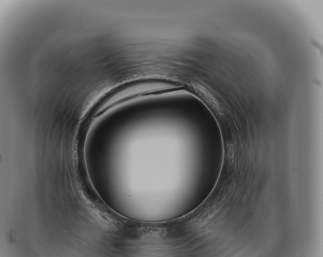 X0000096490676200801311619