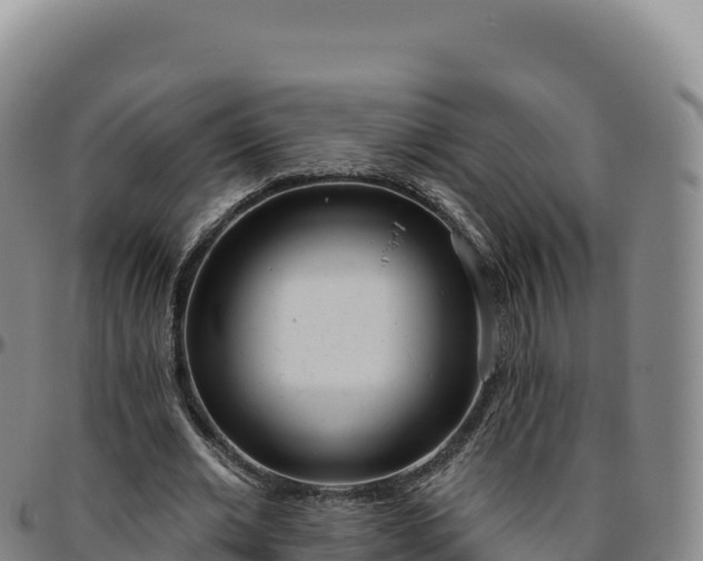 X0000096490677200801311619