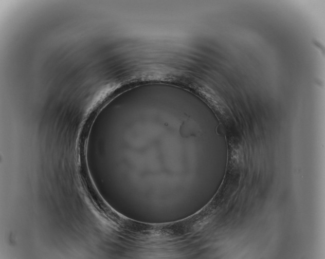 X0000096490678200801311619