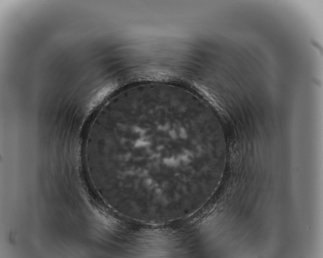 X0000096490679200801311619