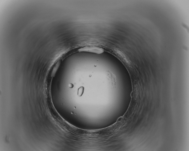 X0000096490680200801311619