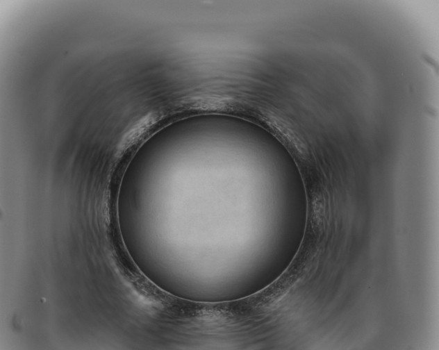 X0000096490682200801311619