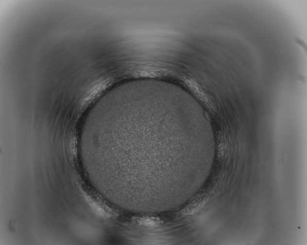 X0000096490683200801311619