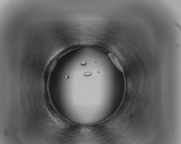 X0000096490684200801311619