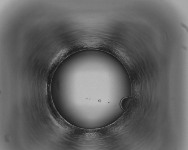 X0000096490686200801311619