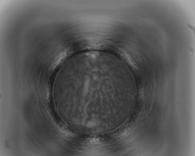 X0000096490687200801311619