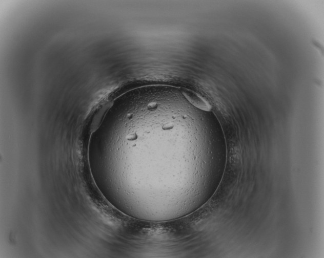 X0000096490688200801311619