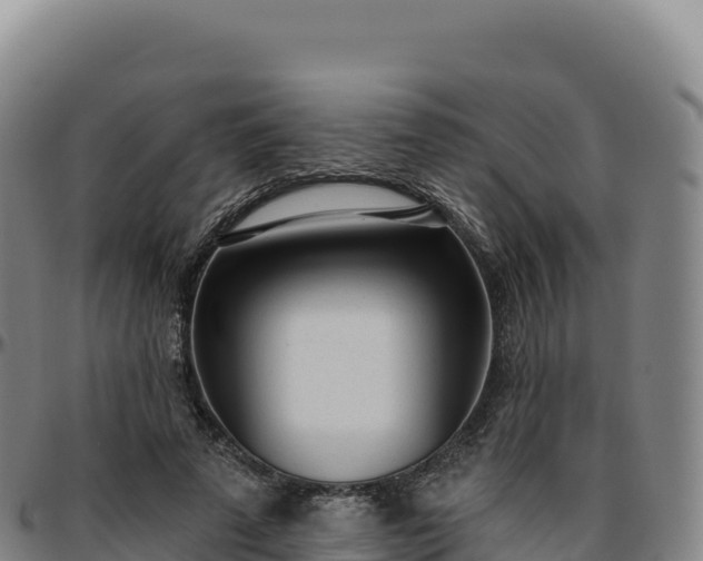 X0000096490689200801311619