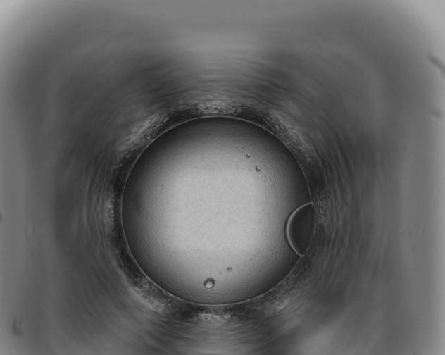 X0000096490690200801311619