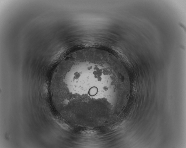 X0000096490691200801311619