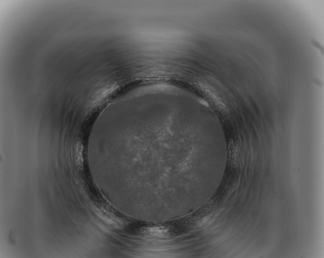 X0000096490692200801311619