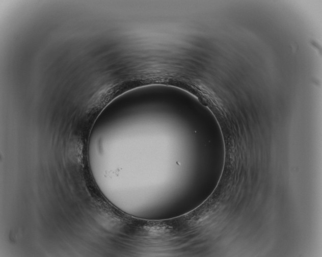 X0000096490693200801311619