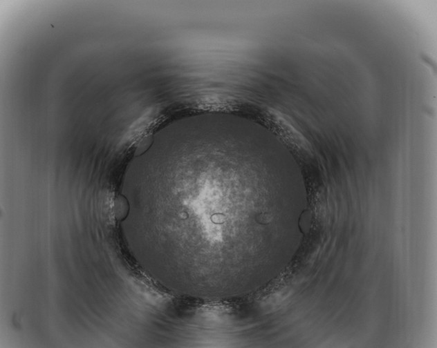 X0000096490696200801311619