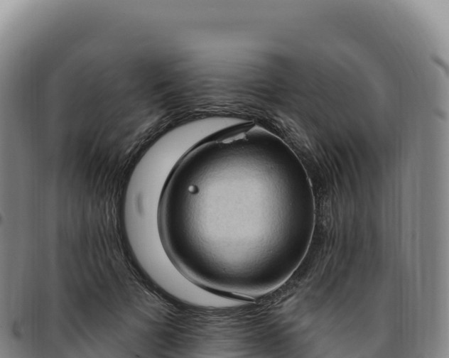 X0000096490697200801311619