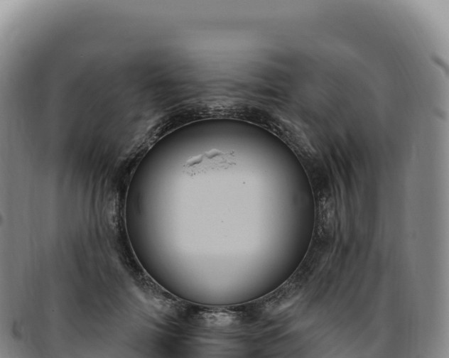 X0000096490698200801311619