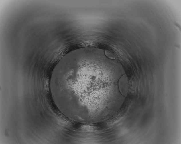 X0000096490699200801311619