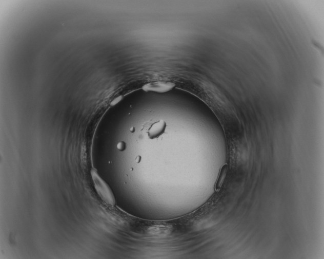 X0000096490700200801311619