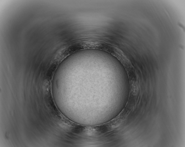 X0000096490701200801311619