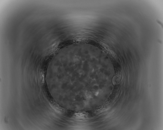 X0000096490703200801311618