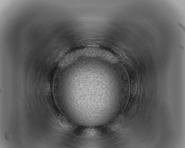 X0000096490704200801311618