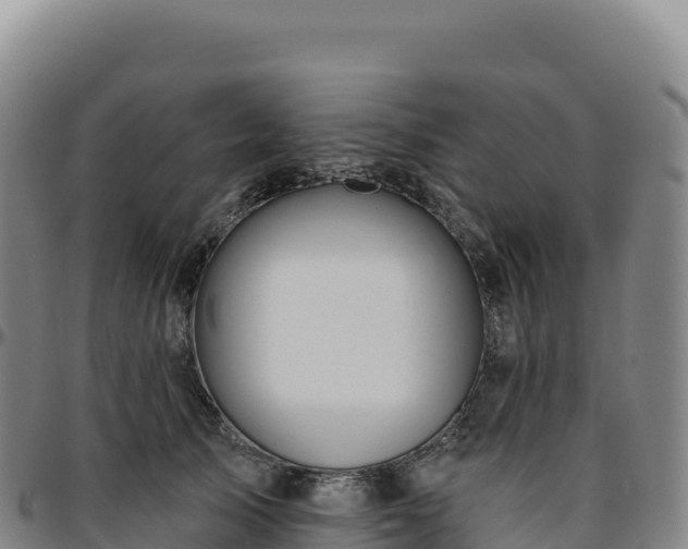 X0000096490705200801311618