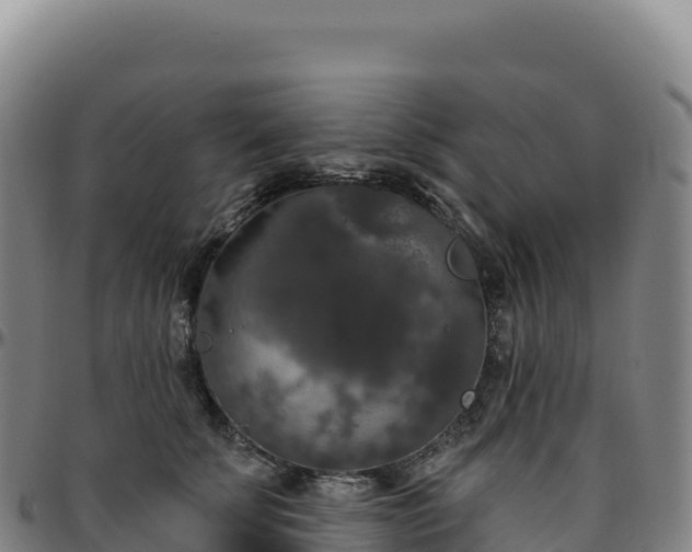 X0000096490707200801311618