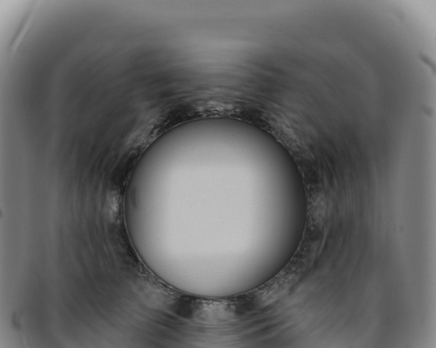 X0000096490709200801311618